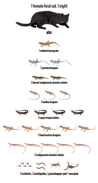 feralcats_feature_illo